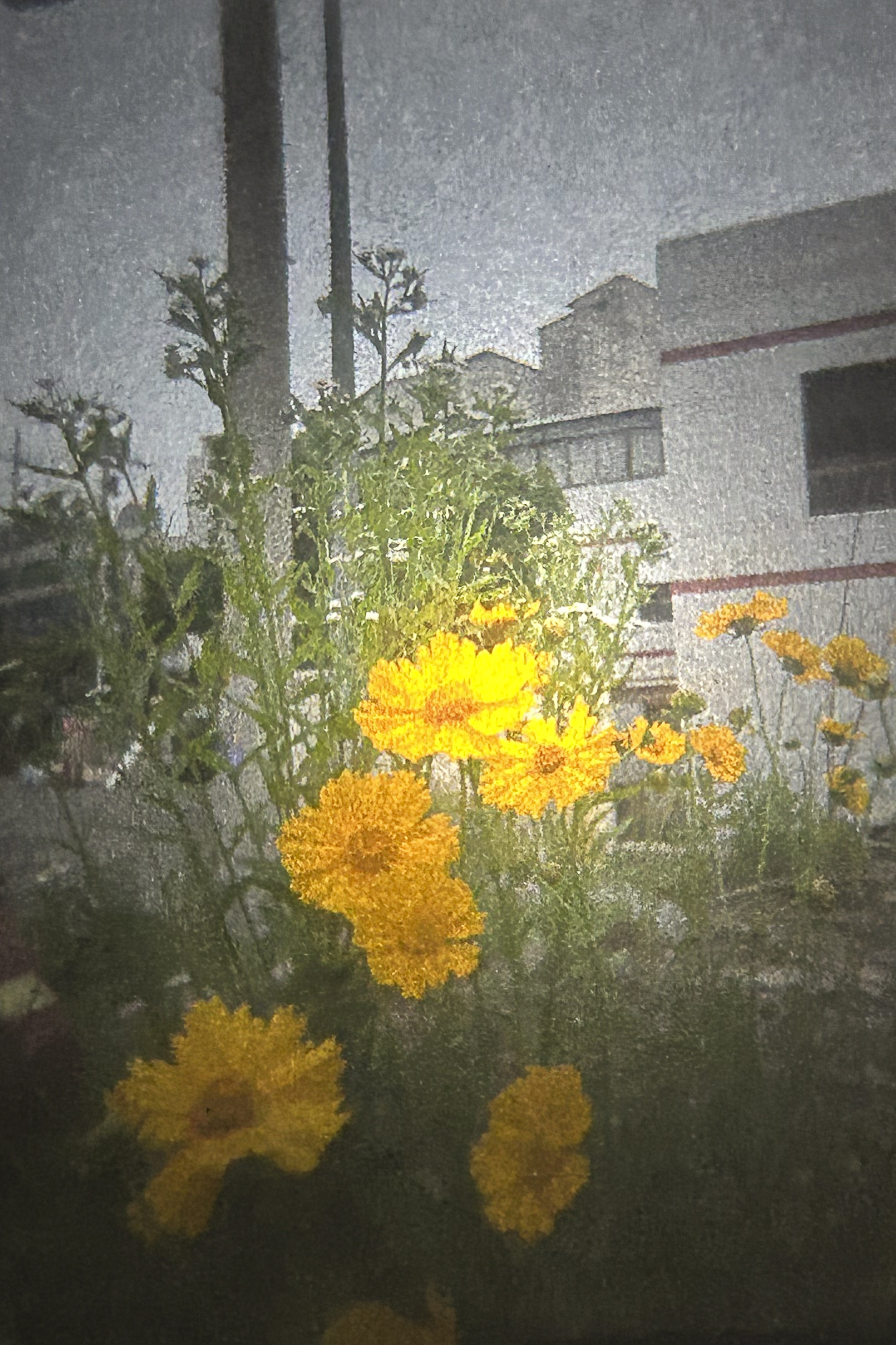 iPhone obscura
